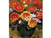 Obrázek z Taška LDPE s ušima potisk - gerbera 44 x 48 cm, 40 my, 500 ks 