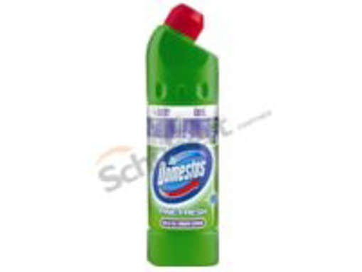 Obrázek z DOMESTOS FRESH WC750ml ZELEN/MODR 1220-2 