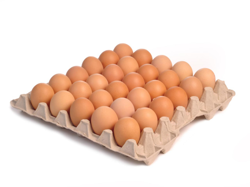 Obrázek z Vejce L180 