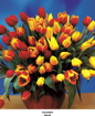 Obrázek z Taška LDPE s ušima potisk - Tulipány 44 x 48 cm, 40 my, 500 ks 